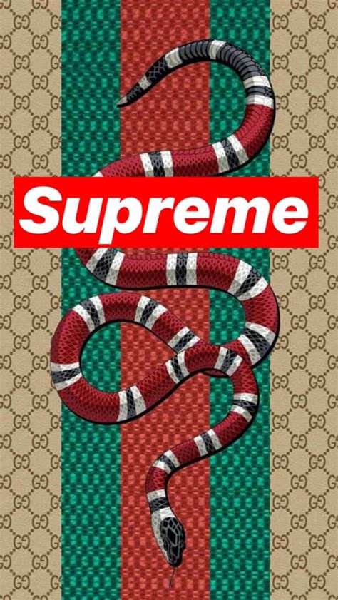 supreme met gucci|gucci supreme for sale.